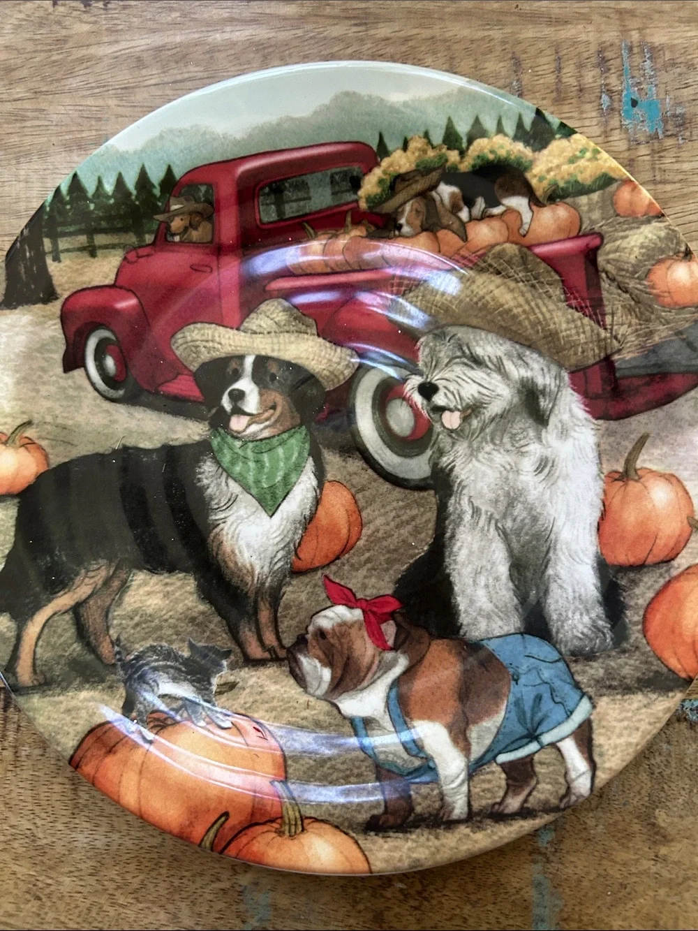 Seasonal Dog & Pumpkin 6 Decorative Plate - Red Truck Design. Great for fall.